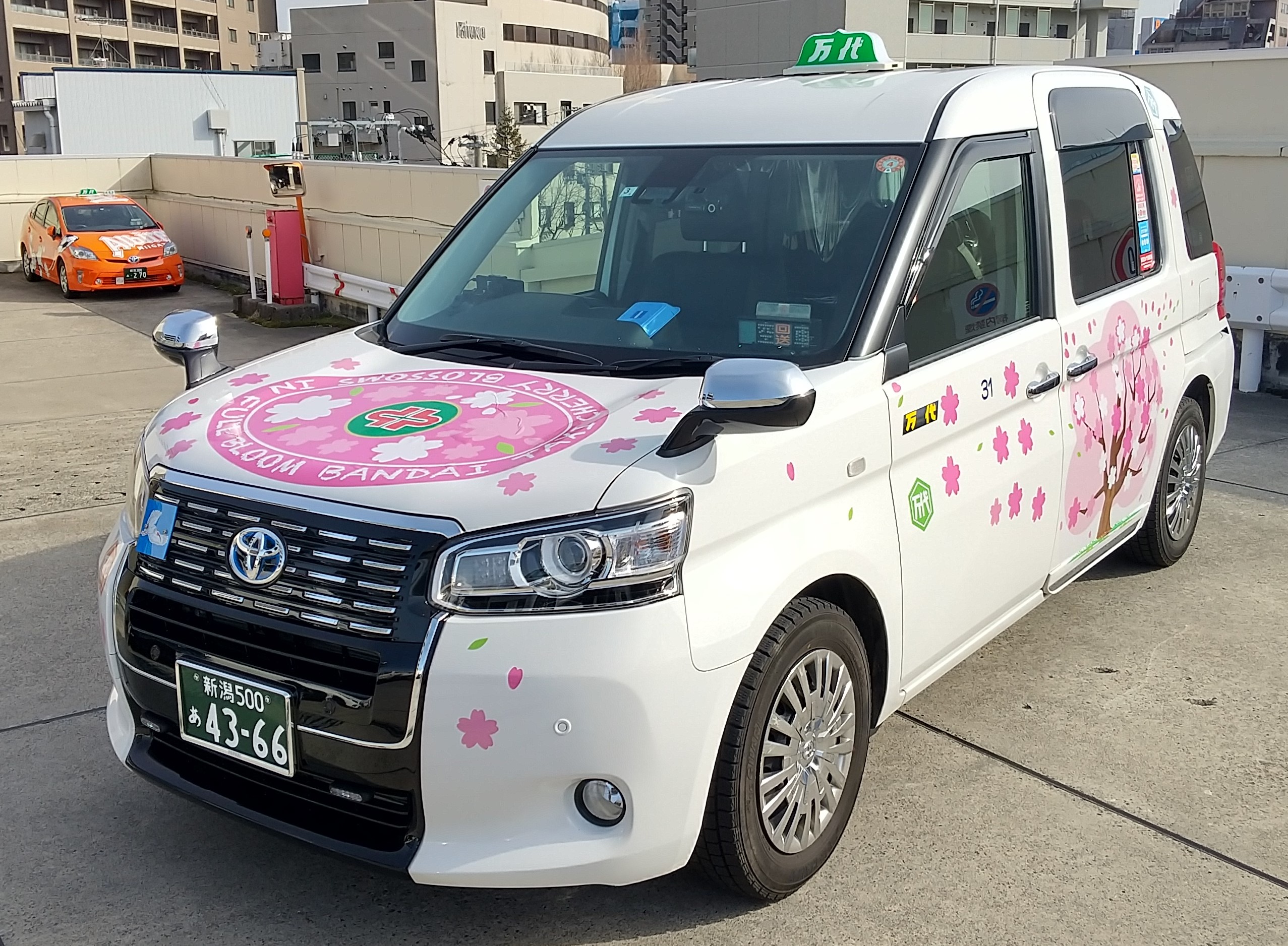 2022年万代お花巡りタクシー『桜』　運行開始！