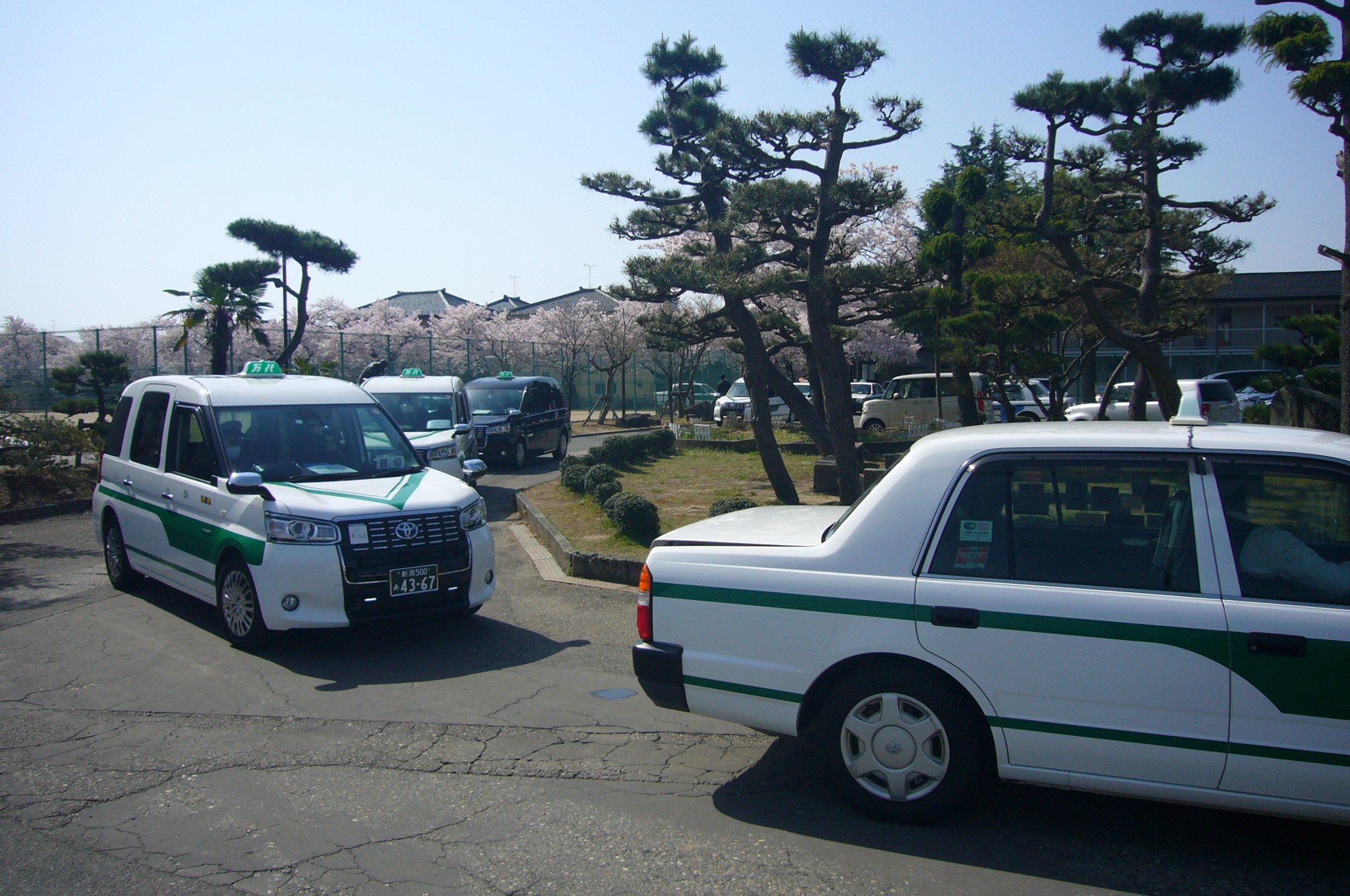 一般社団法人新潟県ハイヤー タクシー協会